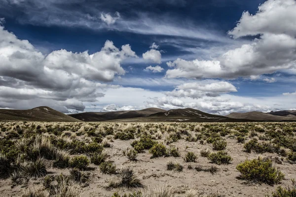 Um deserto no altiplano dos andes na Bolívia — Fotografia de Stock