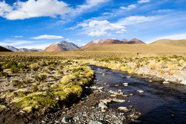 Un deserto sull'altipiano delle Ande in Bolivia — Foto Stock