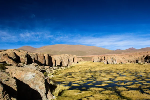 A desert on the altiplano of the andes in Bolivia — Stock Photo, Image