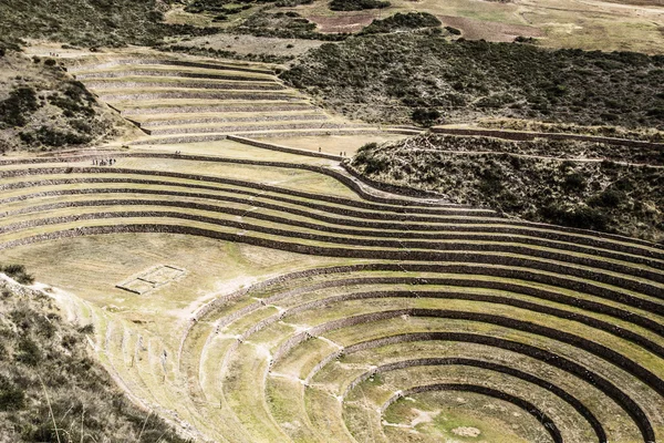 Perú, Moray, antiguas terrazas circulares incas. Es probable que haya el laboratorio Incas de agricultura — Foto de Stock