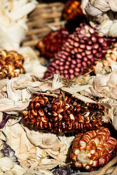 Eine Nahaufnahme oder fröhlich und farbenfroh getrockneter indischer Mais — Stockfoto