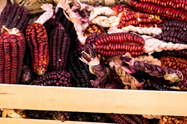 Un cierre o alegre y colorido secado maíz indio —  Fotos de Stock