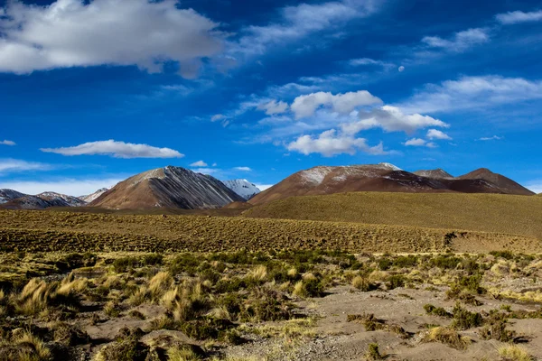 Έρημο και στο βουνό πάνω από το μπλε ουρανό και άσπρα σύννεφα στην altiplano, Βολιβία — Φωτογραφία Αρχείου