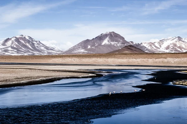 Pouště a hory nad modré nebe a bílé mraky na altiplano, Bolívie — Stock fotografie