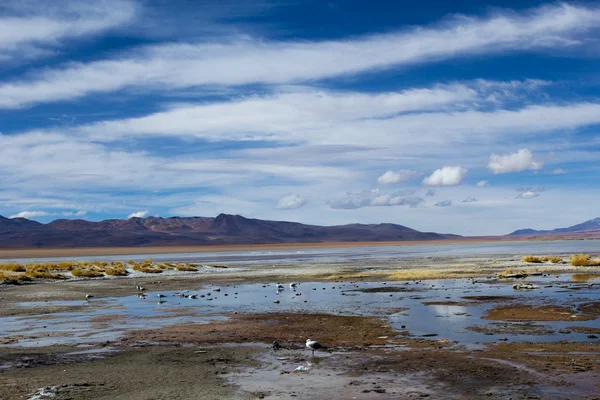 Deserto e montanha sobre céu azul e nuvens brancas no Altiplano, Bolívia — Fotografia de Stock