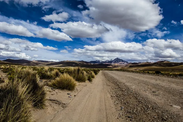 A desert on the altiplano of the andes in Bolivia — Stock Photo, Image