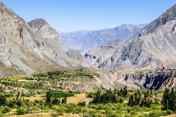 Peru, cotahuasi canyon. wolds djupaste canyon. — Stockfoto