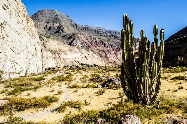 Peru, cotahuasi Kanion. najgłębszy kanion wolds. — Zdjęcie stockowe