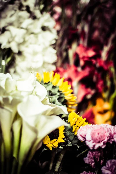 Kwiaty na sprzedaż na rynku peruwian w Ameryce Południowej. — Zdjęcie stockowe