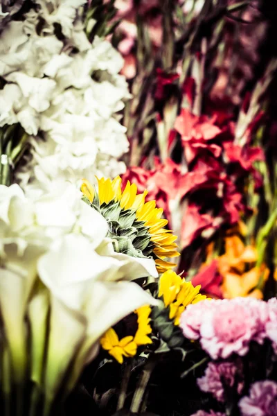 Flores para la venta en Peruwian market en América del Sur . —  Fotos de Stock