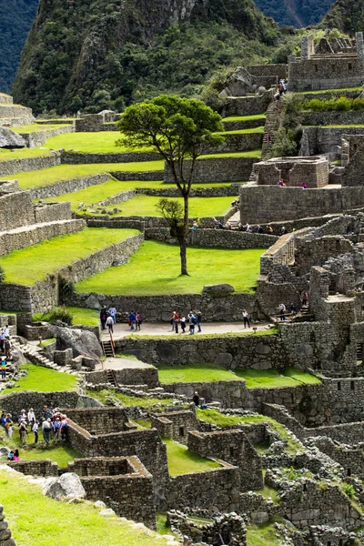 Machu Picchu, la antigua ciudad Inca en los Andes, Perú —  Fotos de Stock