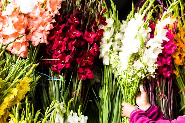 Flores para la venta en Peruwian market en América del Sur . — Foto de Stock