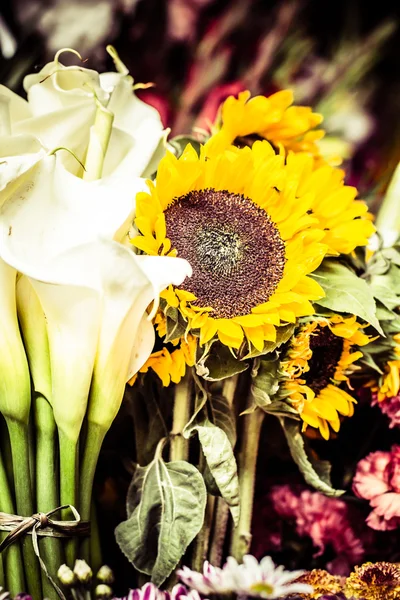 Flores para la venta en Peruwian market en América del Sur . — Foto de Stock