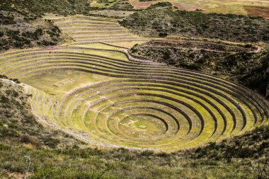 Peru, moray, eski İnka dairesel teraslar. muhtemel Incas laboratuvar tarım olduğunu