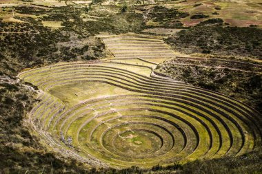 Peru, moray, eski İnka dairesel teraslar. muhtemel Incas laboratuvar tarım olduğunu