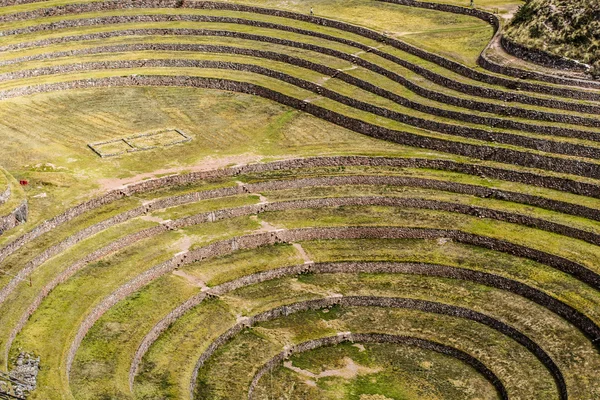 Peru, Moray, ősi inka körkörös teraszok. Valószínű van az inkák laboratórium, mezőgazdasági — Stock Fotó