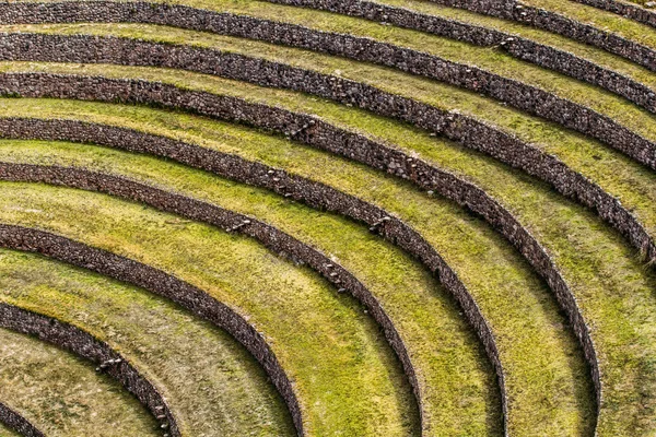 Pérou, Moray, anciennes terrasses circulaires inca. Probablement il y a le laboratoire Incas de l'agriculture — Photo