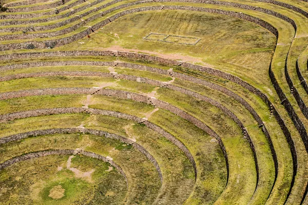 Peru, Moray, ancient Inca circular terraces. Probable there is the Incas laboratory of agriculture — Stock Photo, Image