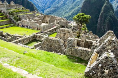 Machu picchu, peru Andes eski İnka şehri