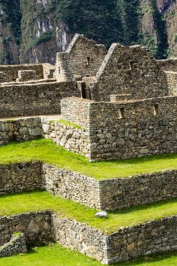 Machu picchu, peru Andes eski İnka şehri