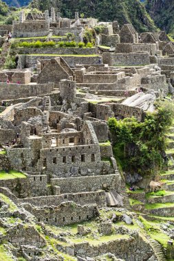 Machu picchu, peru Andes eski İnka şehri