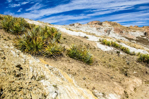 Isla del sol op het Titicacameer, bolivia. — Stockfoto