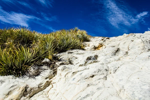 Isla del Sol sur le lac Titicaca, Bolivie . — Photo