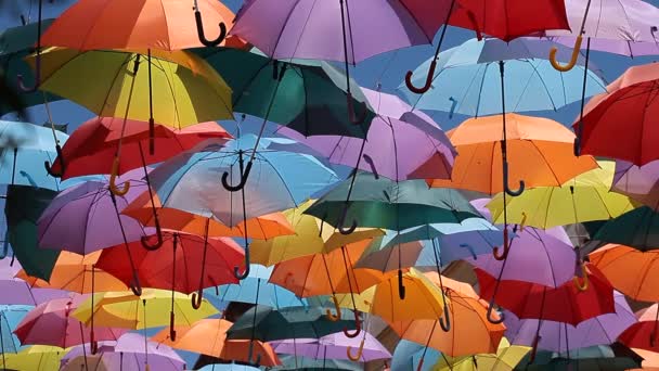 Background colorful umbrella street decoration. — Stock Video