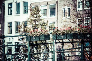 Amsterdam kanal ve Bisiklet