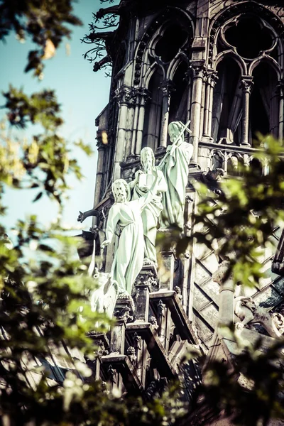 Notre Dame Katedrali, Paris, Fransa. — Stok fotoğraf