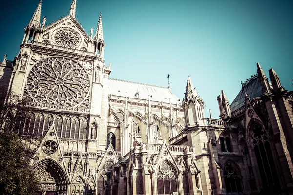 Notre Dame Cathedral, Parijs, Frankrijk. — Stockfoto