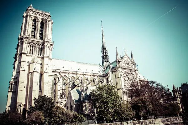 Notre Dame Cathedral, Paris, France. — Stock Photo, Image