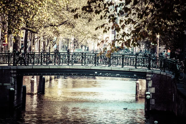 アムステルダムの運河とバイク — ストック写真