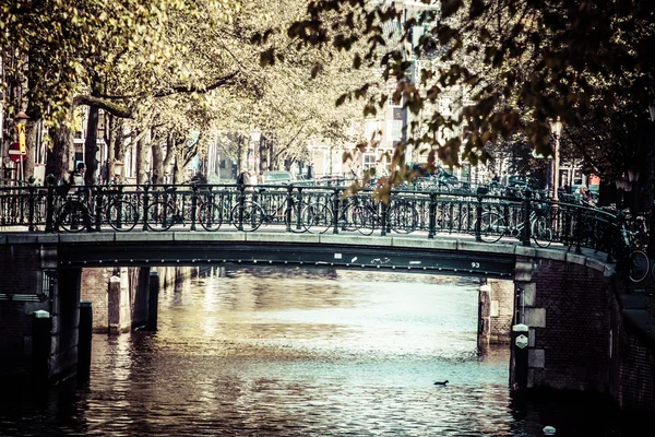 Amsterdam canal y bicicletas — Foto de Stock