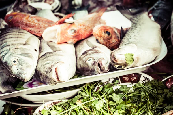Du poisson frais au marché — Photo