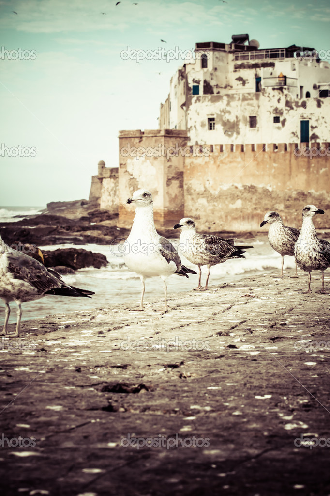 Morocco Essaouira UNESCO World Heritage Site