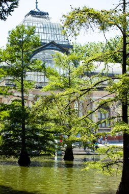 Crystal palace (palacio de cristal) retiro park, madrid, İspanya.