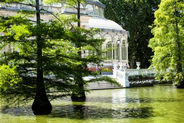 Crystal palace (palacio de cristal) retiro park, madrid, İspanya.