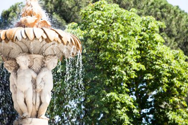 seçkin selvi ağaçları retiro Park Madrid, İspanya