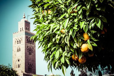 Marakeş, Fas 'taki Koutoubia Camii minaresi