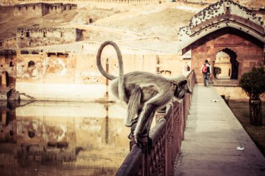 Sunrise jaipur, rajasthan, Hindistan amber fort üzerinde ışık