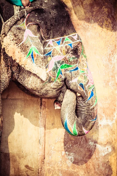 大象!大象!印度，斋浦尔，拉贾斯坦邦. — 图库照片