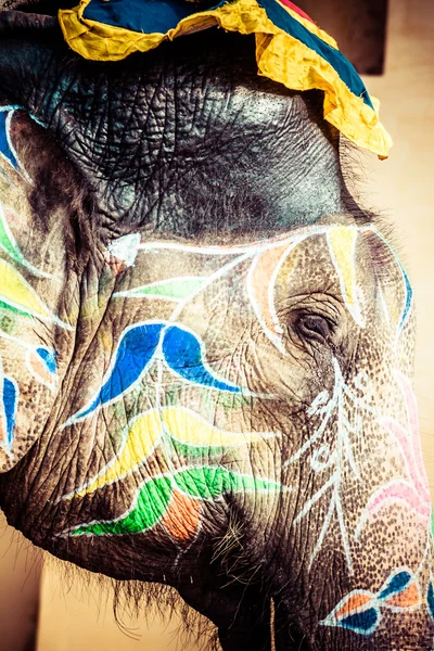 - Fil. Hindistan, Jaipur, Rajasthan Eyaleti.