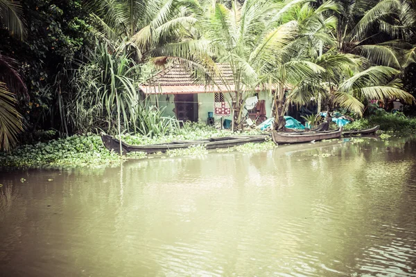 Palmiye ağacı tropikal ormanda durgun kochin, kerala, Hindistan — Stok fotoğraf