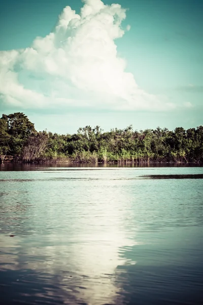 아마존 강, 브라질에 일몰 — 스톡 사진