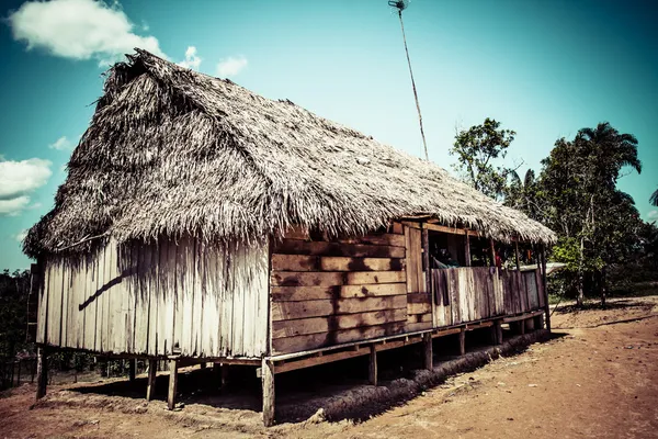 Ett hus i regnskogen, peruanska Amazonas — Stockfoto