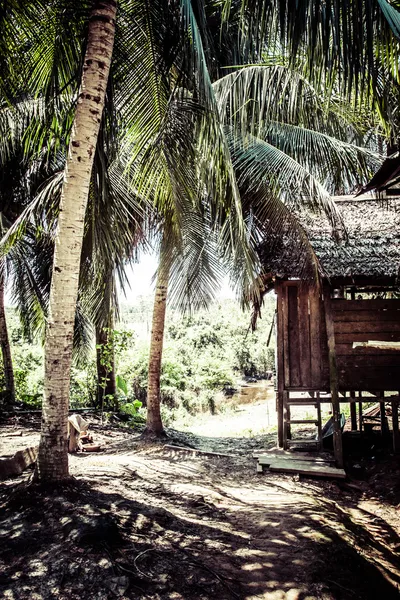 Дом в тропическом лесу, перуанский амазон — стоковое фото