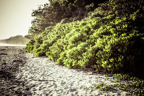 Paisagem foto de ilha tranquila praia — Fotografia de Stock