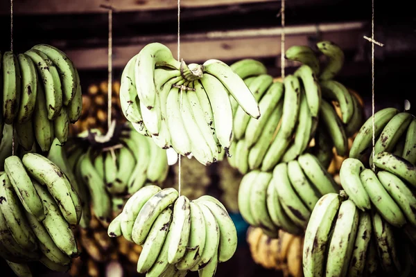 Banana tree with a bunch of bananas — Stock Photo, Image