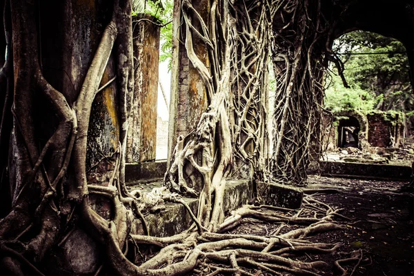 Ruin of abandoned building covered with roots on Ross Island. Andaman Islands, India — Stock Photo, Image
